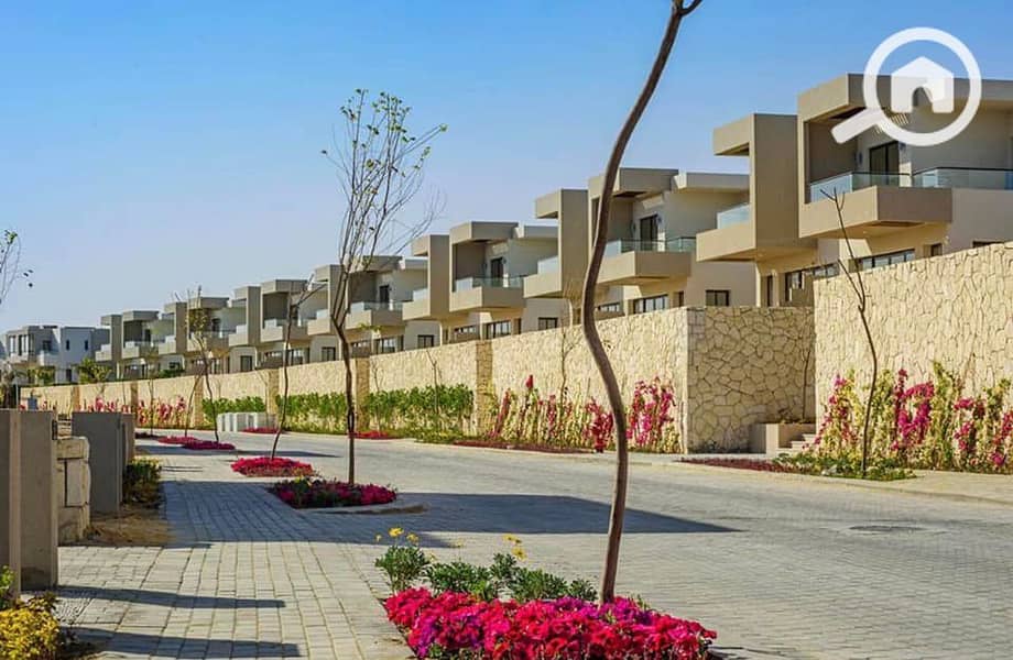 4 254221089_4368096233316563_5440160462850948889_n. jpg