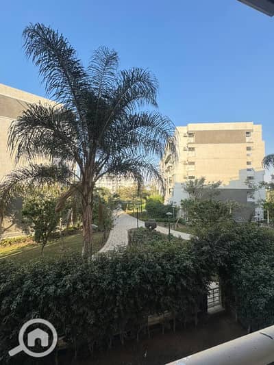 شقة 3 غرف نوم للايجار في مدينتي، القاهرة - 71a33d86-2e33-4d60-b03c-eb72f73ac8b7. jpg