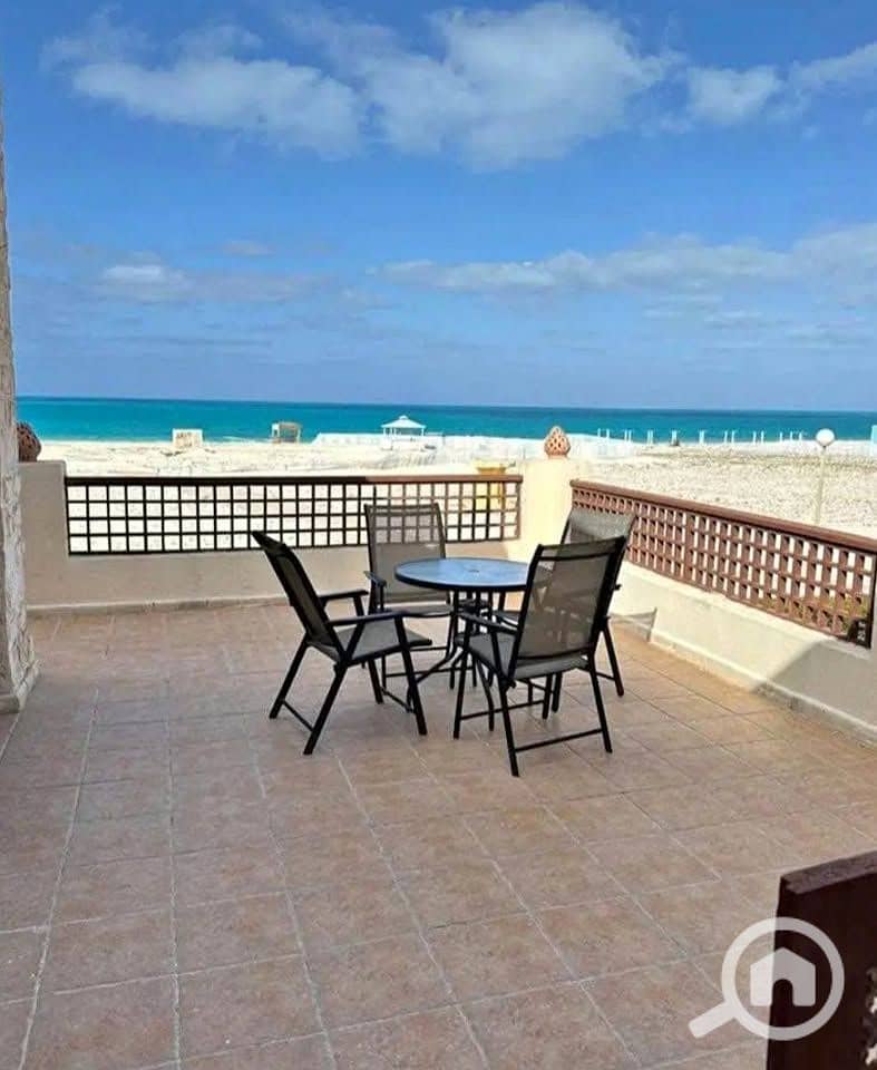 11 561370524_1387823592977415_7361229843150763553_n. jpg