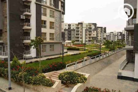 شقة 3 غرف نوم للايجار في القاهرة الجديدة، القاهرة - 1000221952. jpg