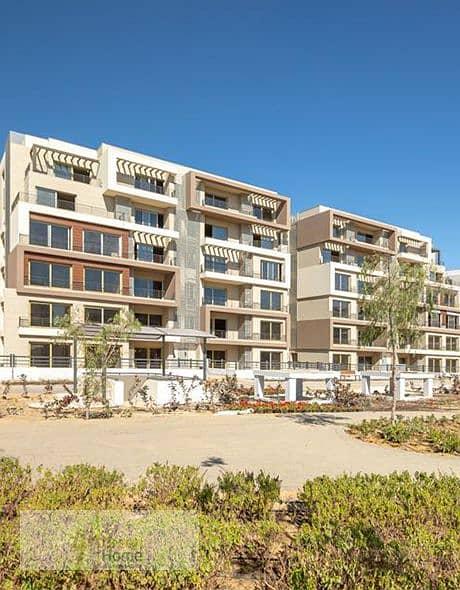 4 Webste final resized PHNC 3. png