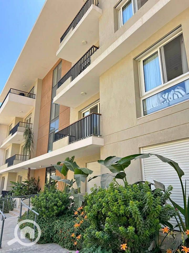 7 504032791_4122211091432595_168572631490509189_n. jpg