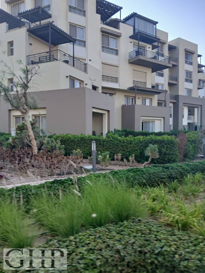 6 02adf6f8-324b-4237-a185-fd13c89b7707. jpg