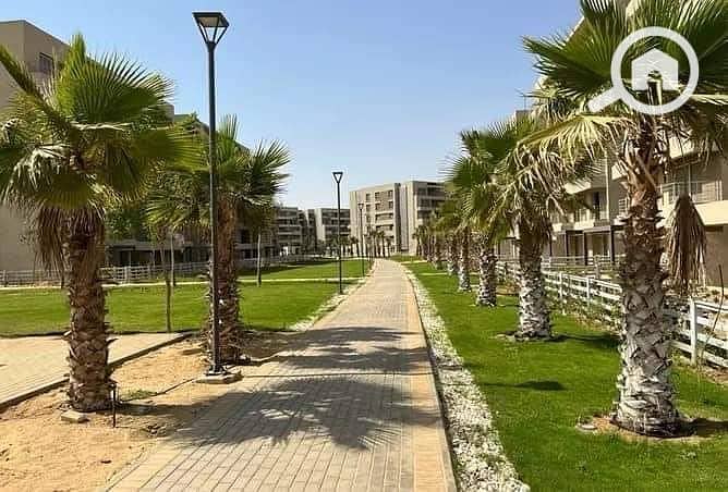 2 WhatsApp Image 2024-11-21 at 4.52. 42 PM (6). jpeg