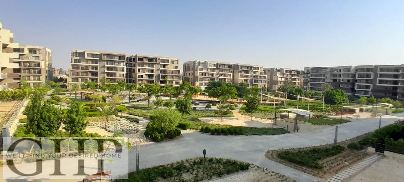 2 20250725_174053. jpg