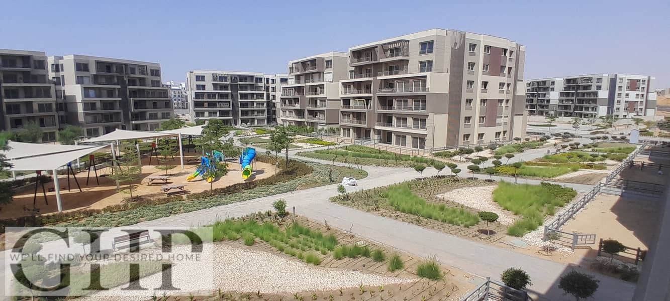 4 20250816_145833. jpg