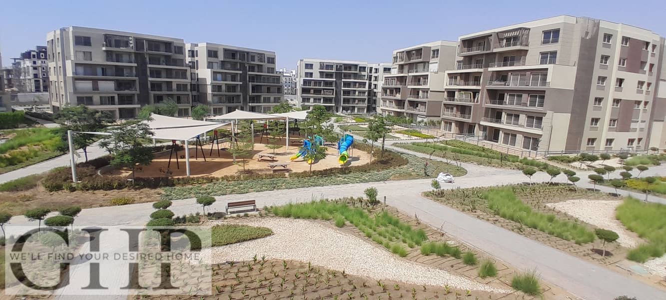 5 20250816_145836. jpg