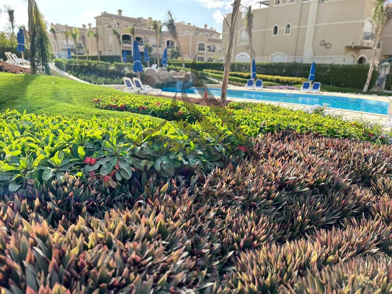 15 WhatsApp Image 2024-12-10 at 11.03. 58 AM. jpeg