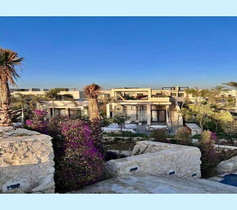 6 550361291_4423709324582106_5553206560391642466_n. jpg