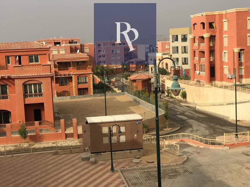 2 6970a74d6fc9f. jpg