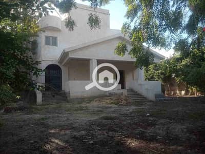 فیلا 4 غرف نوم للبيع في كينج مريوط، الإسكندرية - 143866. jpg