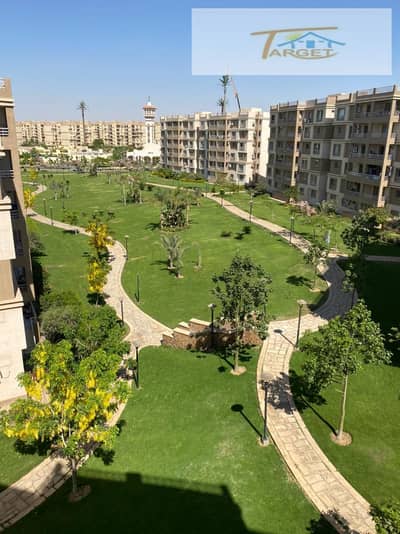 فلیٹ 3 غرف نوم للايجار في مدينتي، القاهرة - 615774808_1326545979493558_7186946315765847204_n. jpg