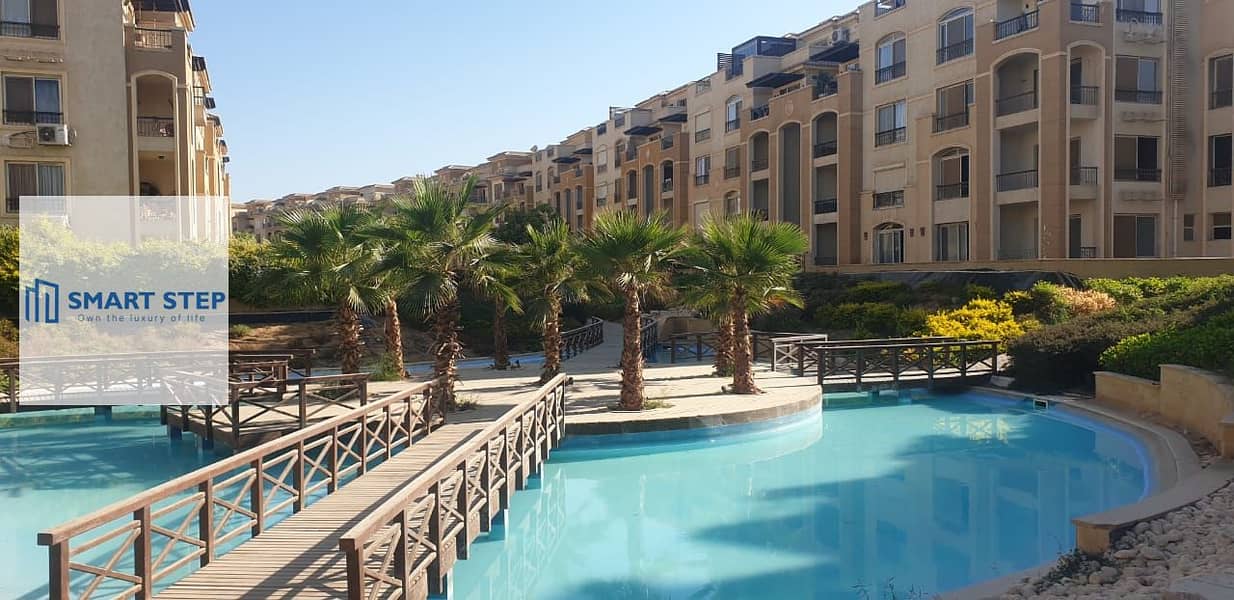 7 d501f528-8d21-4bbb-abe2-3897bf2d0917 (1). jpg