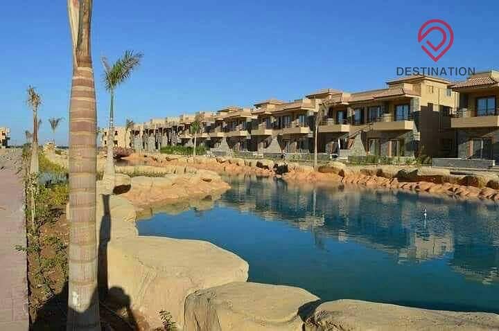 17 52f85d46-a07b-40ac-8e30-96340efab7b7. jpeg