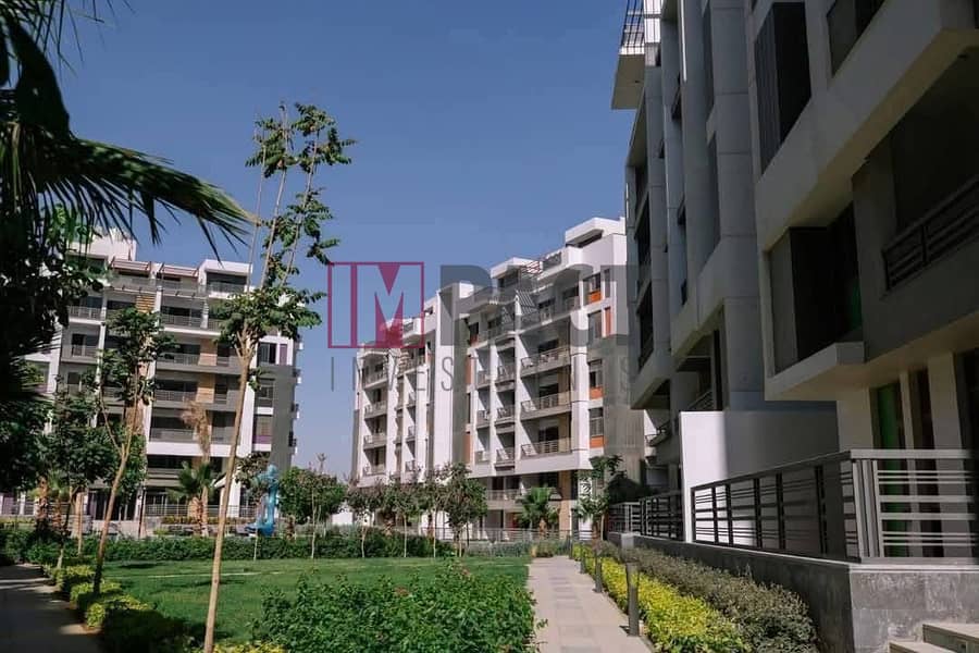 3 WhatsApp Image 2025-08-10 at 13.38. 53 (1). jpeg