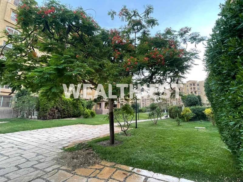 3 db994a9a-8a1c-427e-b86e-30469f027667. jpg