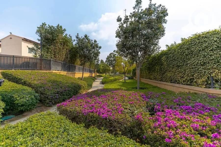 15 WhatsApp Image 2025-12-30 at 6.23. 56 AM. jpeg