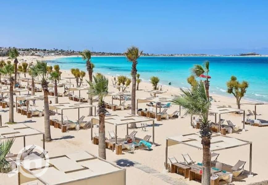 6 WhatsApp Image 2025-06-11 at 4.08. 33 PM (2). jpeg