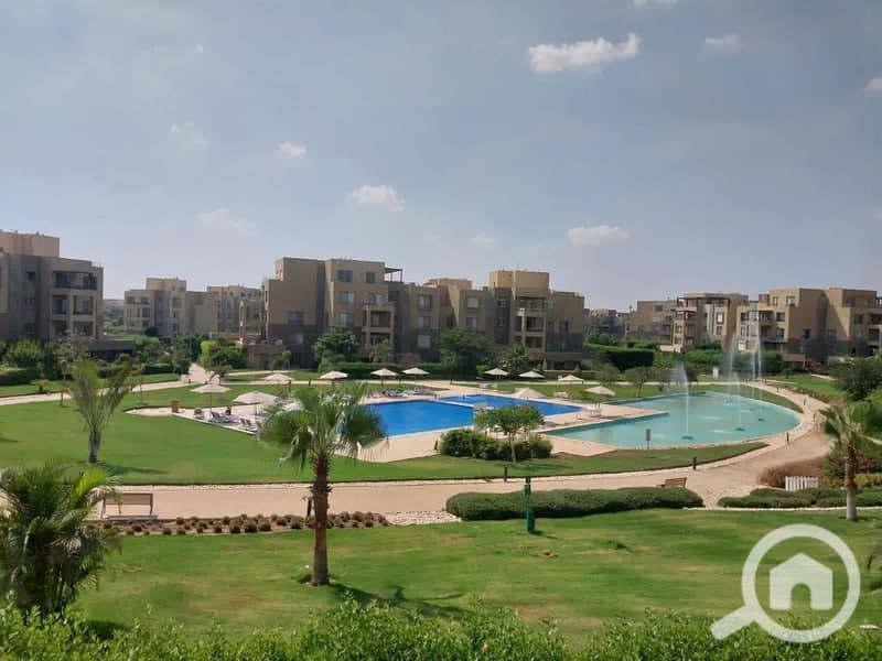 11 WhatsApp Image 2024-11-28 at 12.16. 38_8fea2e19. jpg