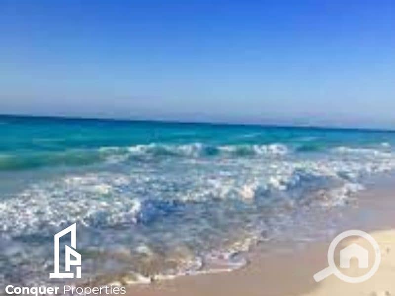 2 Untitled design - 2023-07-30T163242.694. png