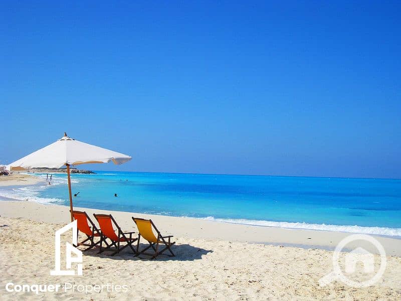 12 Untitled design - 2023-07-30T163222.835. png