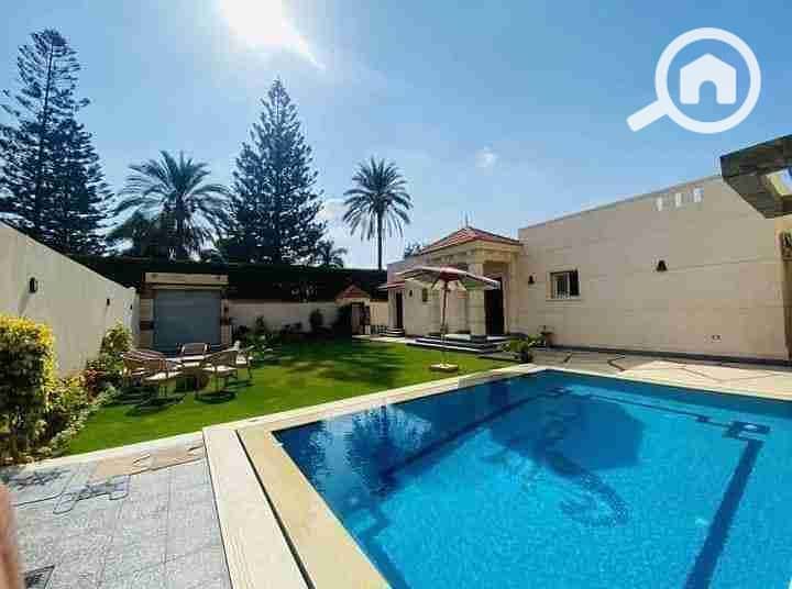 13 FB_IMG_1697012127220. jpg