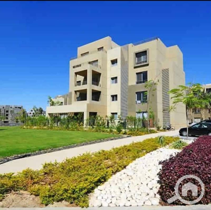 4 468520182_122179329566130616_7223117384500061146_n. jpg