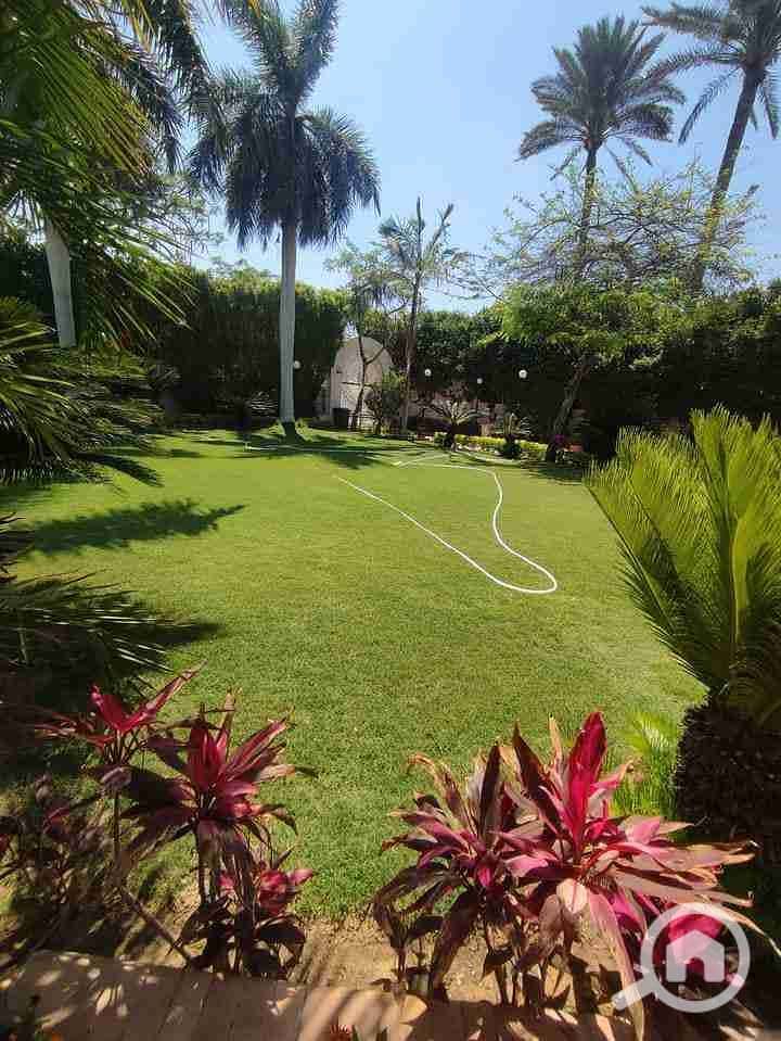 4 FB_IMG_1683284723743. jpg