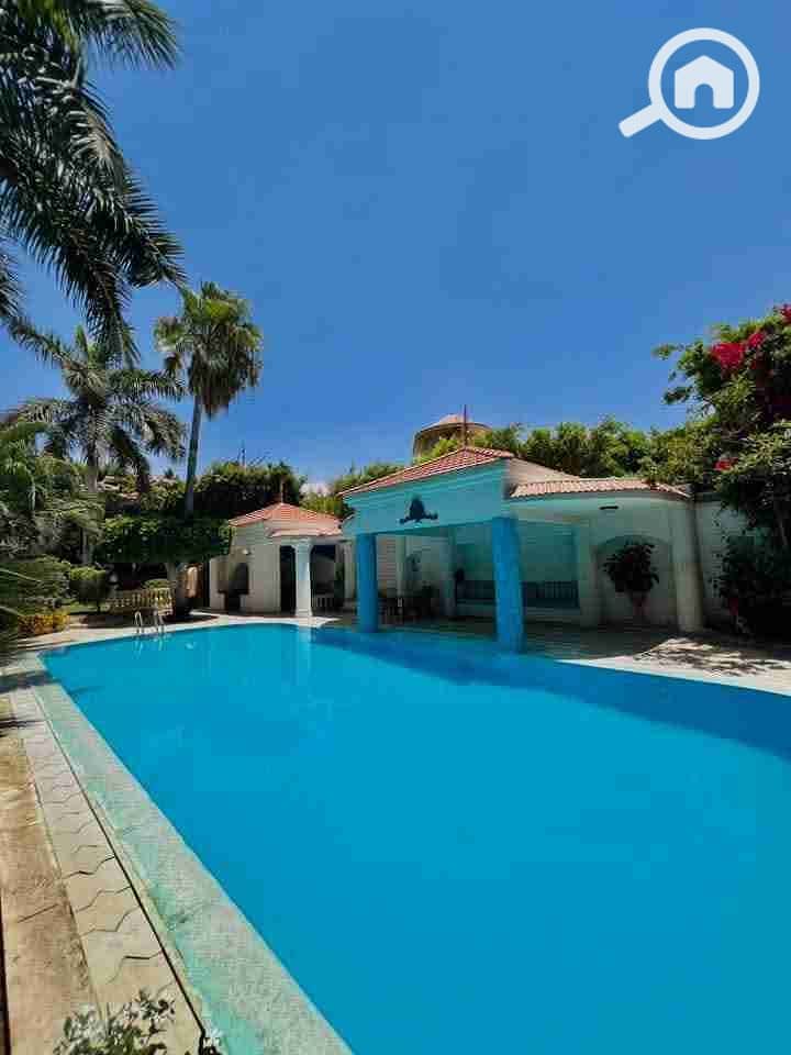 6 FB_IMG_1768995731637. jpg