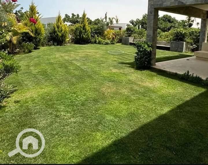 6 FB_IMG_1744513487780. jpg