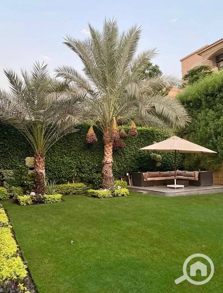 12 FB_IMG_1746233454163. jpg