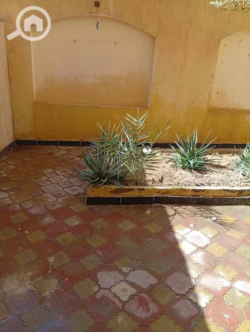 7 d3de1cec-0062-4baf-b53c-83f08ac4b1ec. jpg