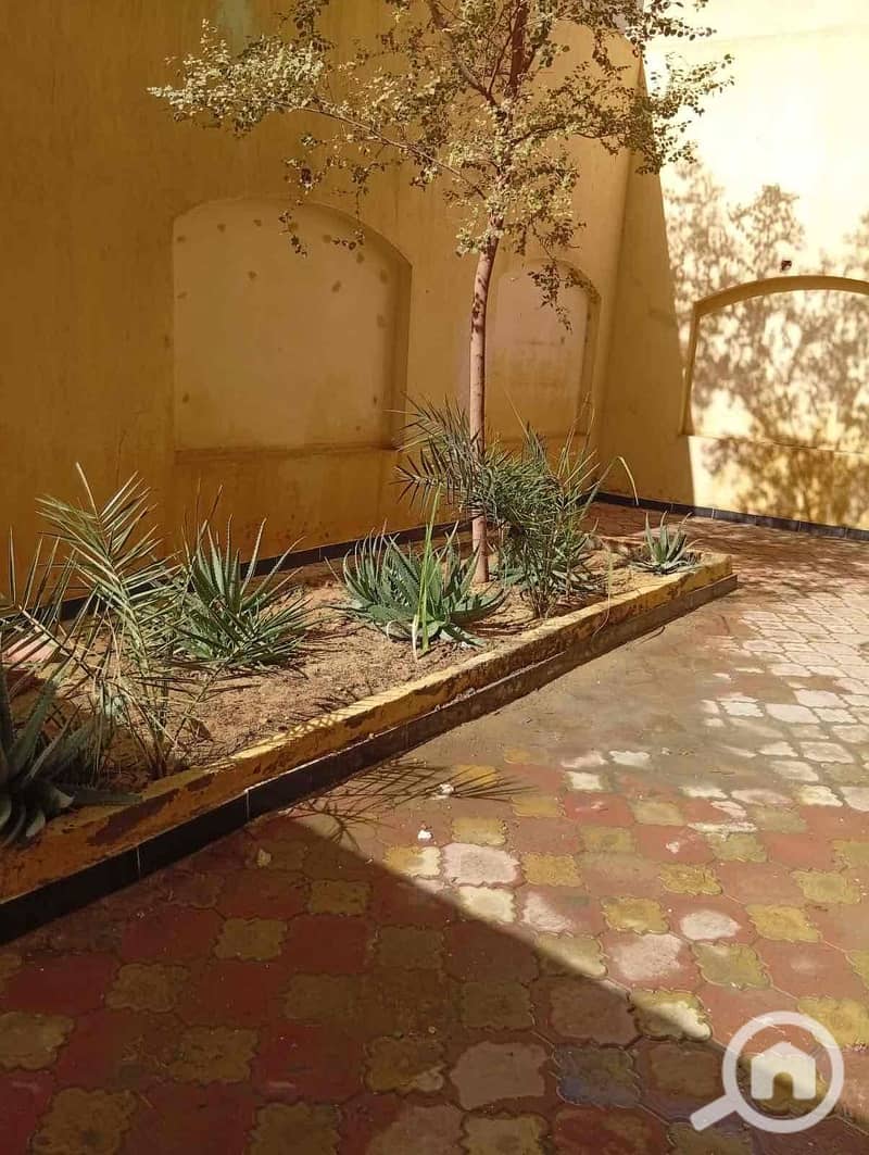 9 bc053c00-8bee-4a70-98aa-51175ef29f23. jpg