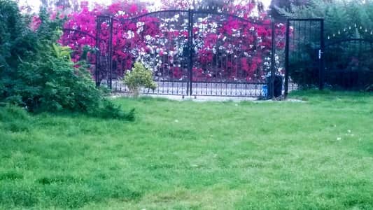 زراعي  للبيع في 6 أكتوبر، الجيزة - ادفع ٤ مليون و٦٠٠ وامتلك مزرعه بفيلا مستقله مفروشه ومكييفه