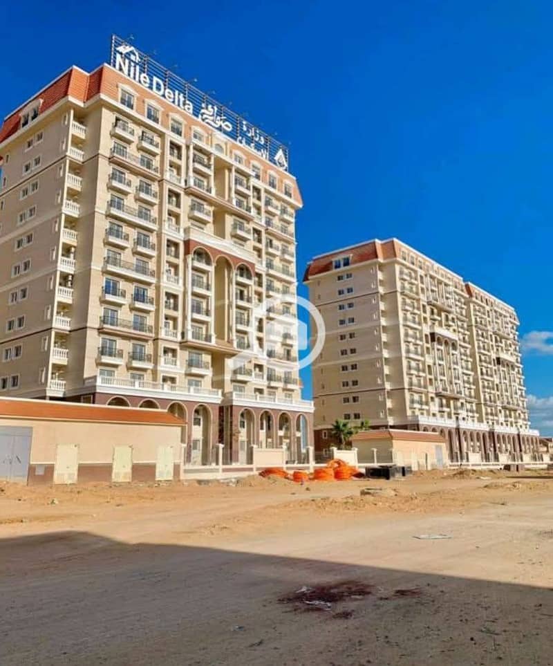 11 607944441_1171553845142149_883400830571494677_n. jpg