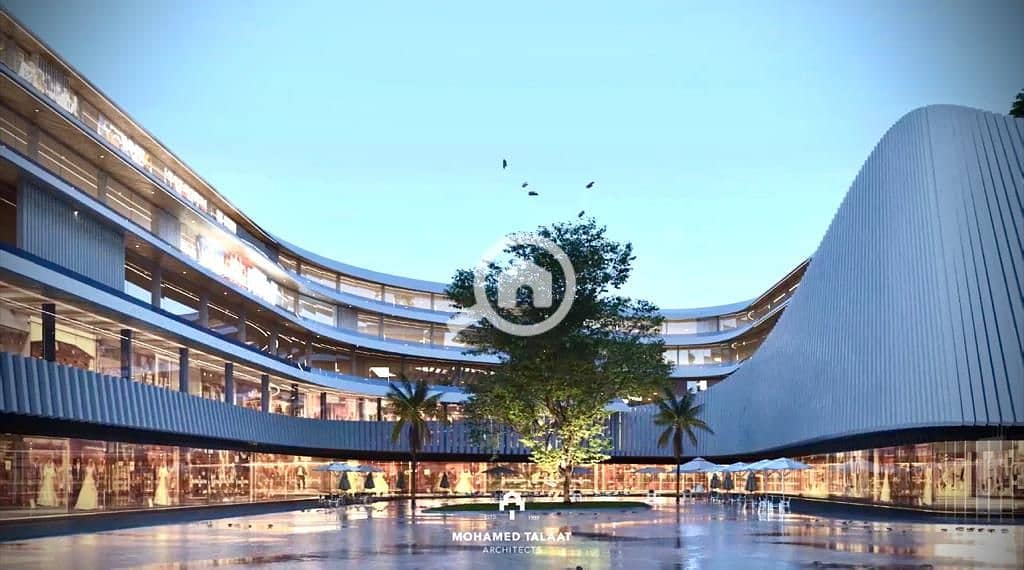 7 7ccd0a96-ea1f-4933-b91f-c6399bd2f792. jpg