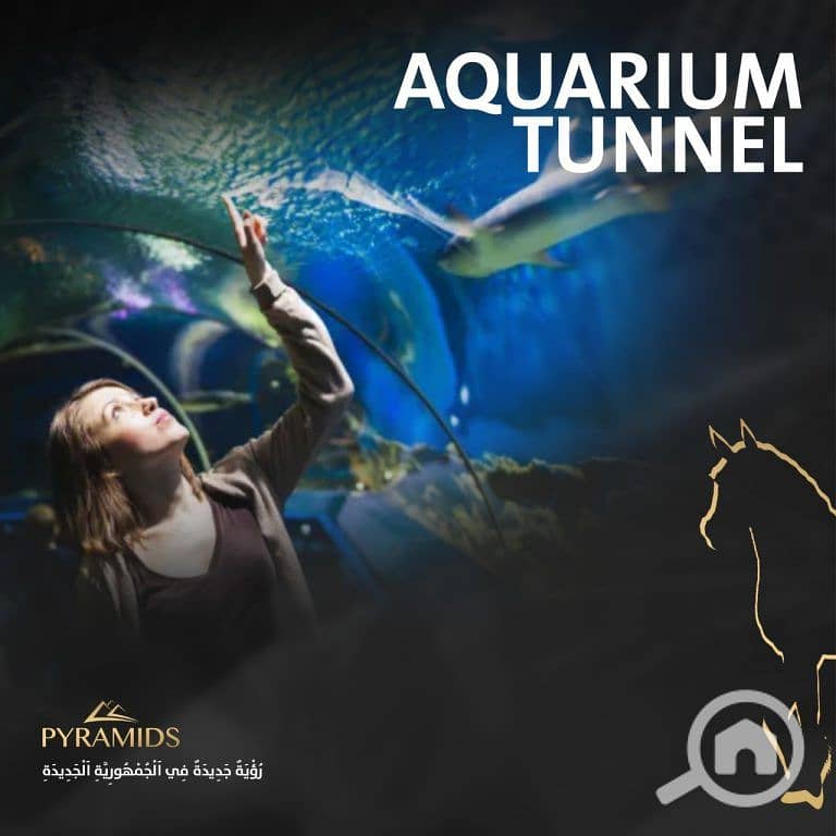 32 Mega-Mall-New-Capital-768x768. jpg