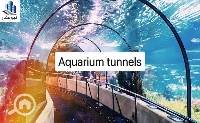 36 WhatsApp-Image-2021-11-27-at-12.05. 56-PM. jpeg