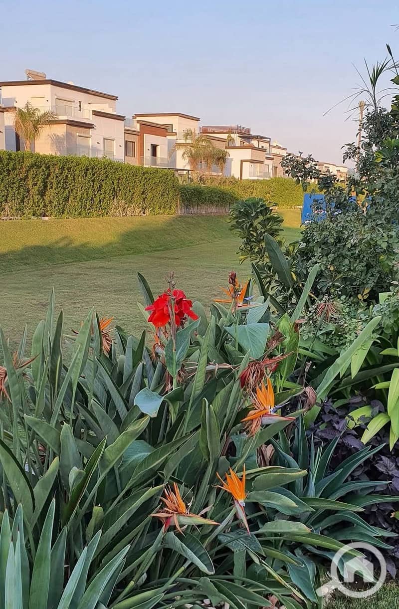 8 FB_IMG_1769028739774. jpg