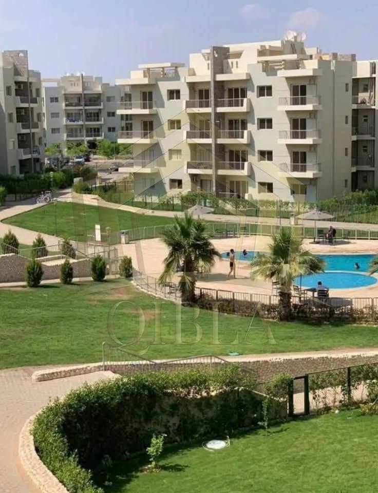 3 597410935_1588253405501074_8737152068391792625_n. jpg