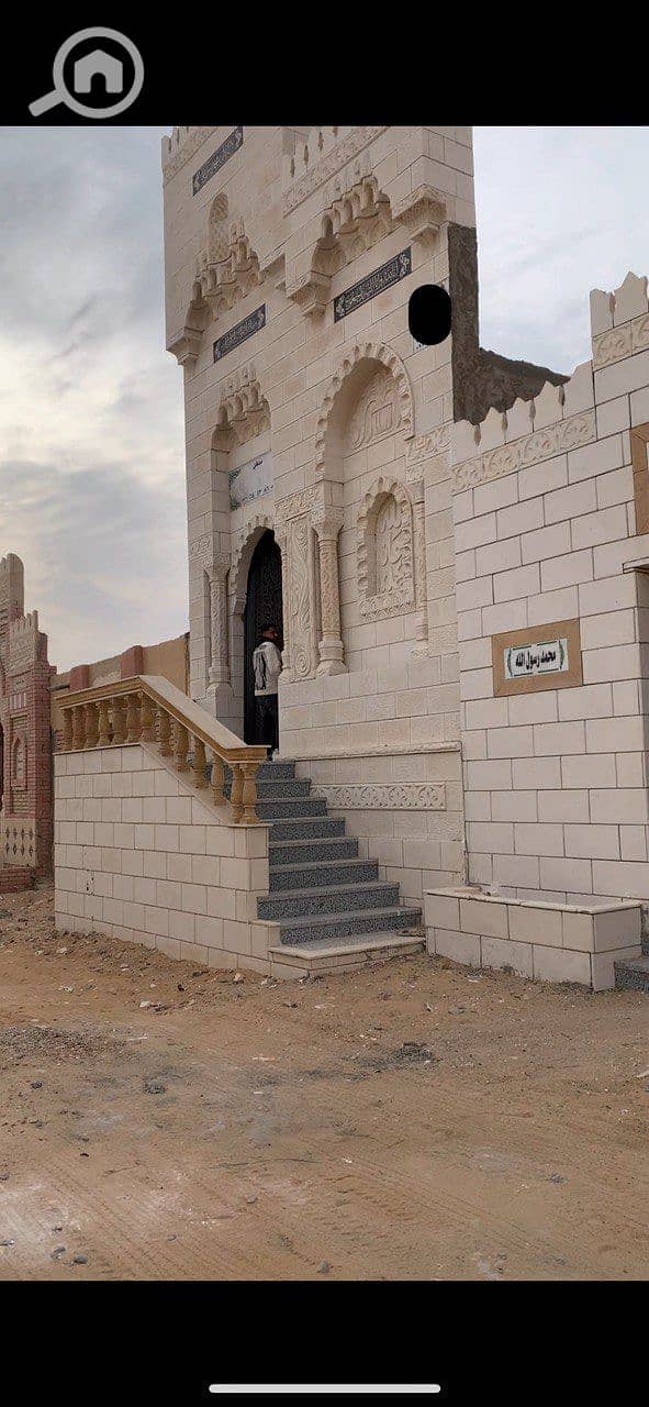 2 photo_2026-01-21_22-50-13. jpg