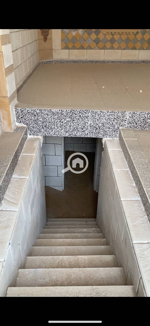 5 photo_2026-01-21_22-46-50. jpg