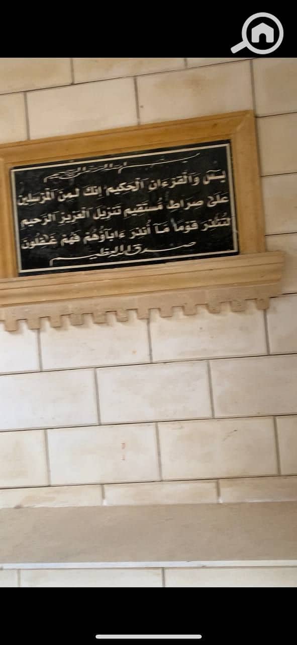 6 photo_2026-01-21_22-46-44. jpg