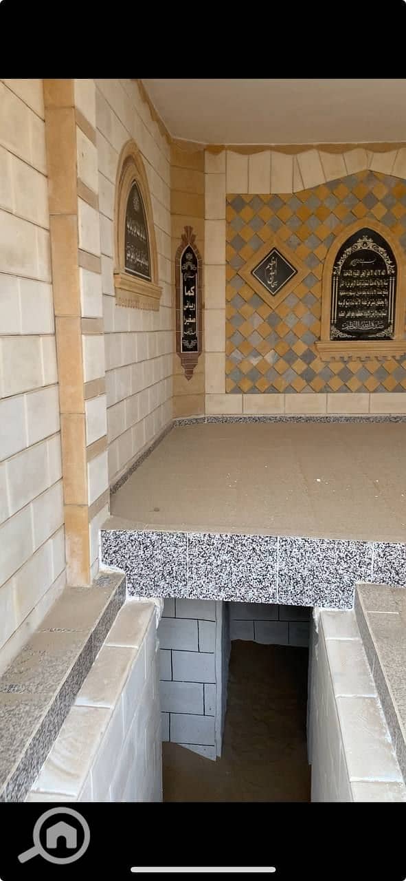 8 photo_2026-01-21_22-47-00. jpg