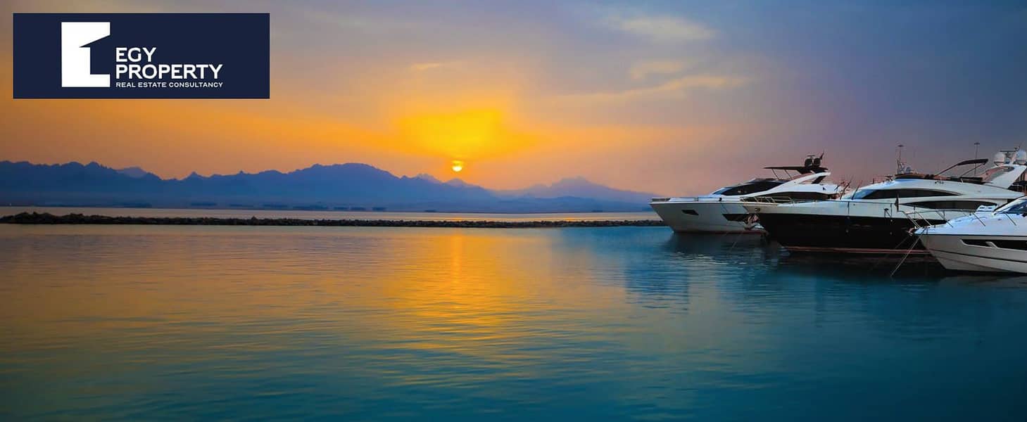 5 Screenshot (207). png