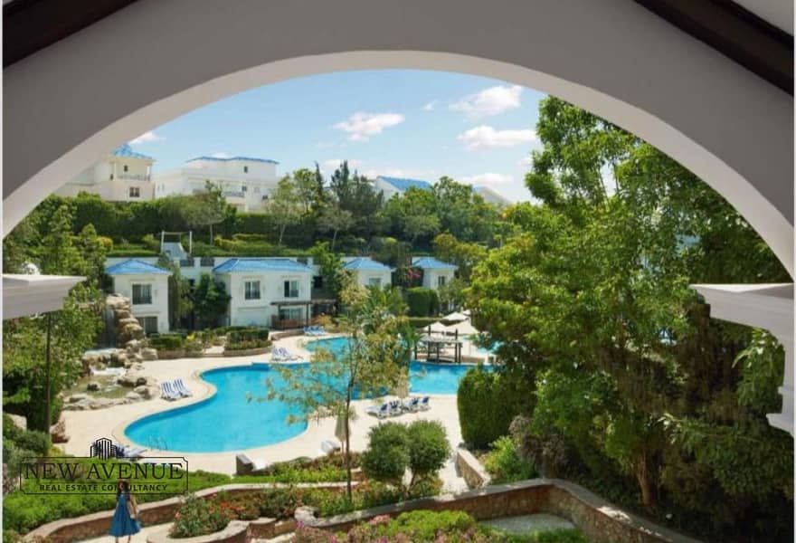 2 5b29991a-10ac-4976-90f8-2da5a73ea125. jpg