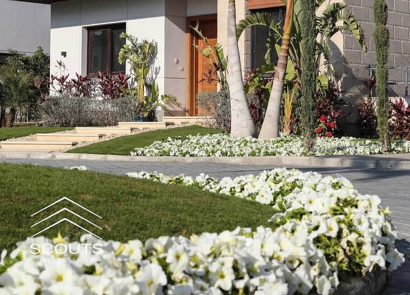 11 428373634_3670625206552755_1213150584003920285_n. jpg