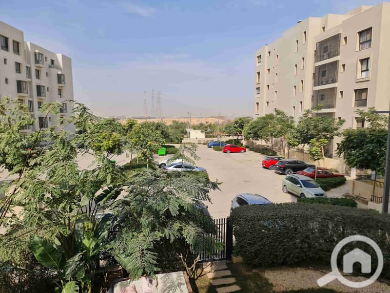 5 20260121_125913. jpg