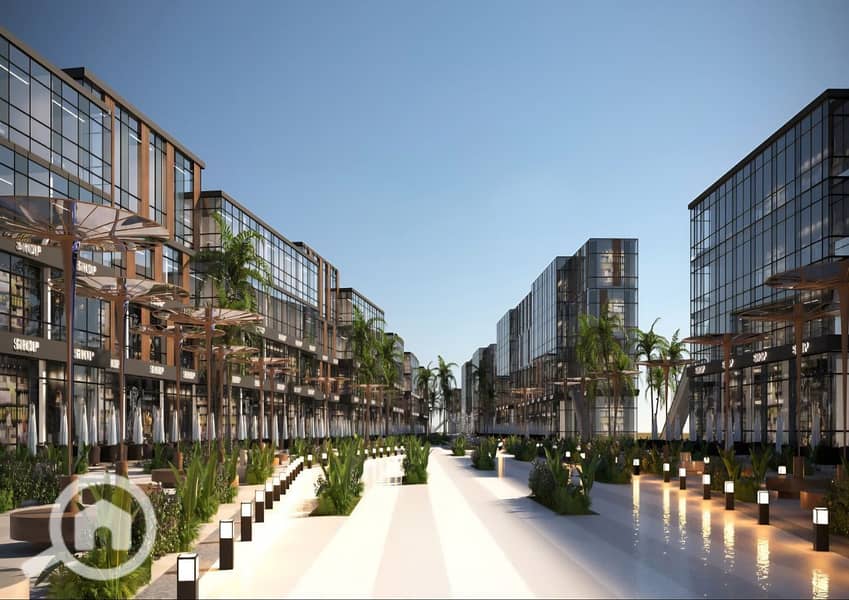 2 photo_1_2026-01-22_00-03-44. jpg