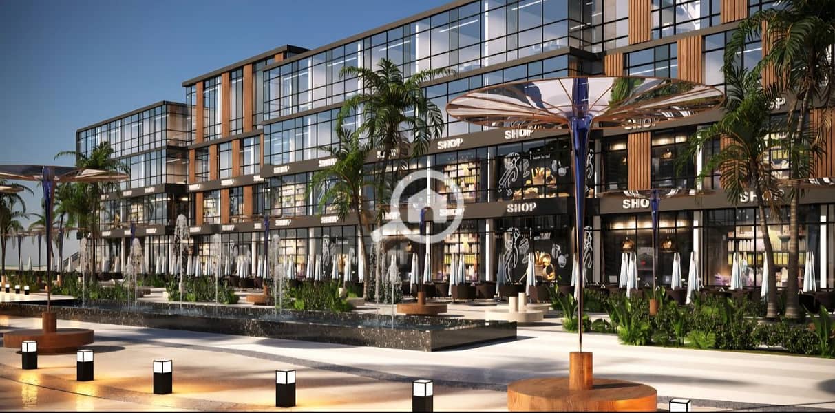 4 photo_7_2026-01-22_00-03-44. jpg